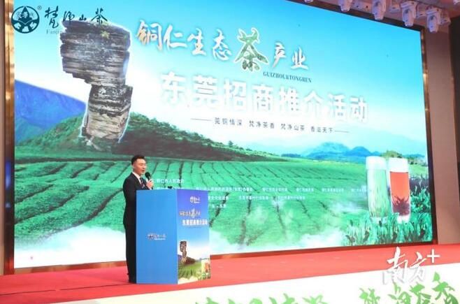 关于铜仁生态茶产业东莞招商推介会签约资金达8.98亿元的信息