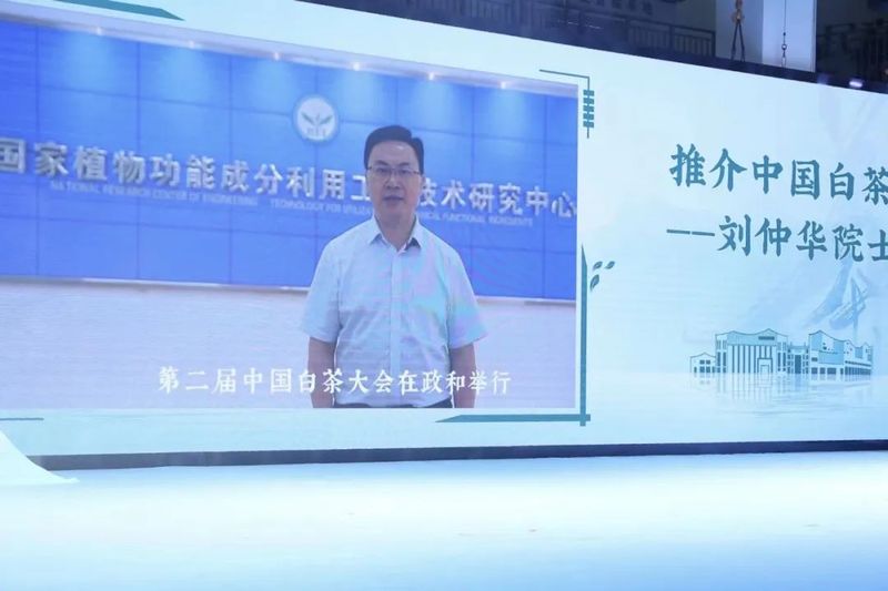 关于茶界大咖齐聚政和，共绘中国白茶发展新蓝图的资讯(3)