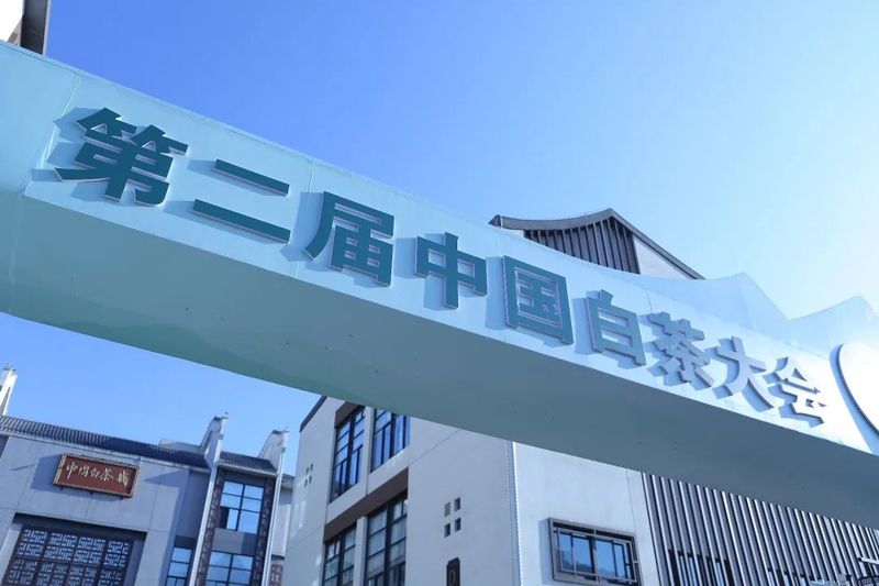 关于茶界大咖齐聚政和，共绘中国白茶发展新蓝图的资讯