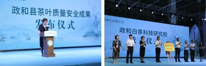 关于茶界大咖齐聚政和，共绘中国白茶发展新蓝图的资讯(5)