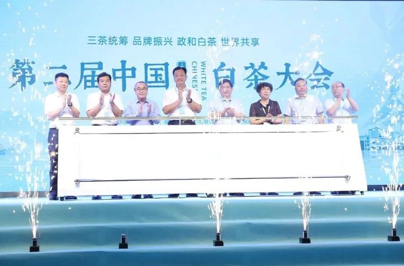 关于茶界大咖齐聚政和，共绘中国白茶发展新蓝图的资讯(1)