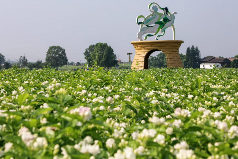 有关于一周速读:云茶产业量质齐升、浅谈茉莉花茶趋势走向、石家庄茶博会的资讯(1)