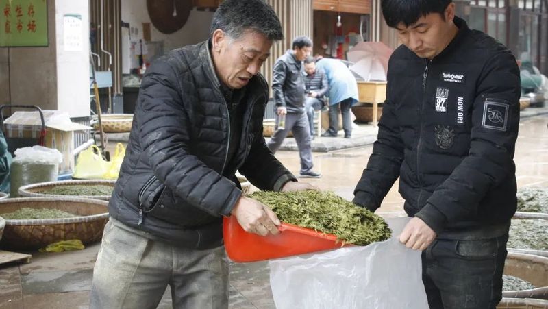 关于中国茶叶批发市场的“中年危机”的内容