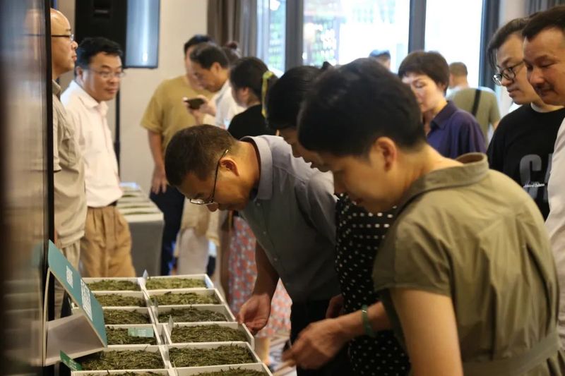 关于2022西湖龙井茶年轻人炒制技艺集训成果展示暨分享交流活动顺利举行!的相关内容(6)