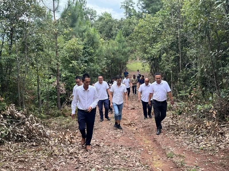 有关于景谷镇人大代表到墨江县考察学习 共谋全镇茶产业发展的内容