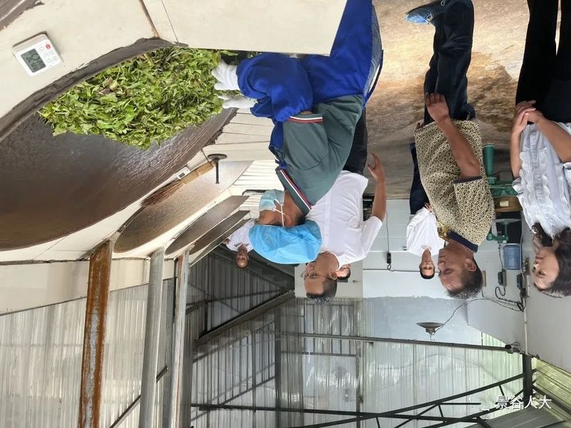 有关于景谷镇人大代表到墨江县考察学习 共谋全镇茶产业发展的内容(2)