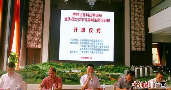 关于粤桂协作科技特派员助力金秀茶产业提质升级的新闻