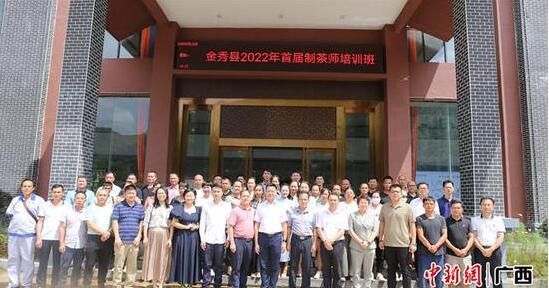 关于粤桂协作科技特派员助力金秀茶产业提质升级的新闻(3)
