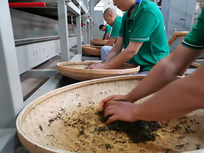 关于2022年陕西省茶叶加工工（红茶）职业技能竞赛在平利成功举办的资讯(2)