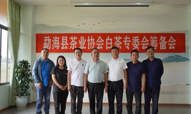 有关于勐海茶业协会白茶专委会召开的消息(1)