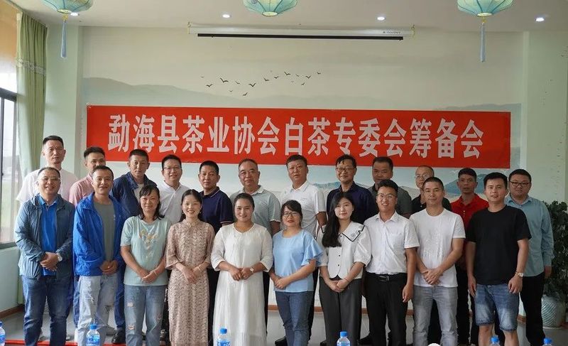 有关于勐海茶业协会白茶专委会召开的消息