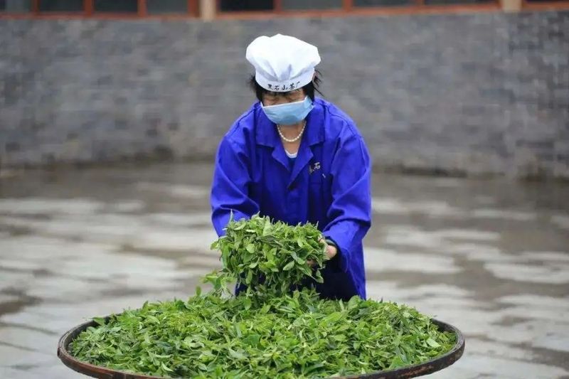 关于”茶商盛会即将开启”“袋泡茶迎来发展期”“安溪铁观音茶文化系统”的相关信息(5)
