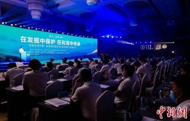 关于”茶商盛会即将开启”“袋泡茶迎来发展期”“安溪铁观音茶文化系统”的相关信息(6)