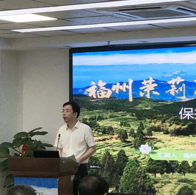 关于“福建福州茉莉花与茶文化系统”保护与发展论坛在福州召开的信息(2)