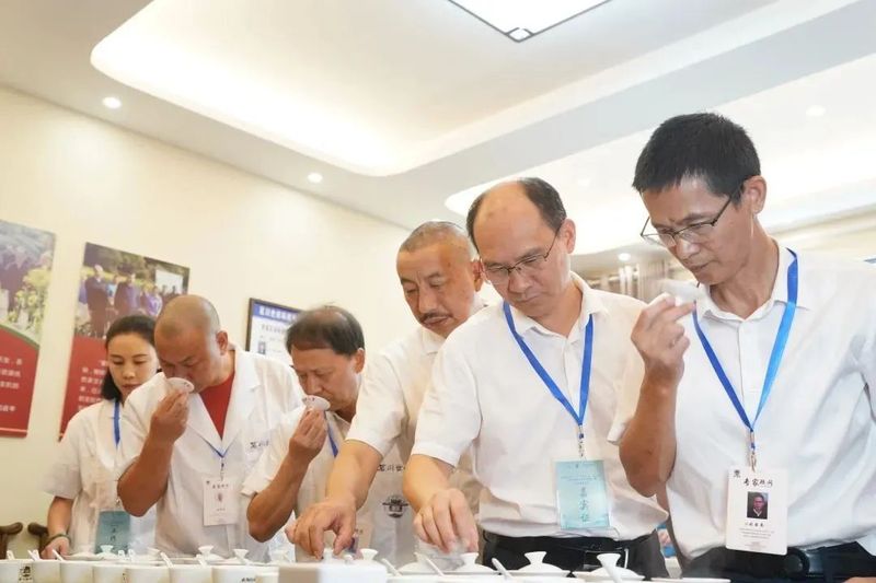 关于武夷山正山堂岩语杯·2022茗川世府乡村振兴制茶师大赛盛大开幕的相关内容(11)