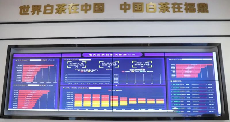 关于福鼎白茶:“一叶”发展科技傍身的相关信息(1)