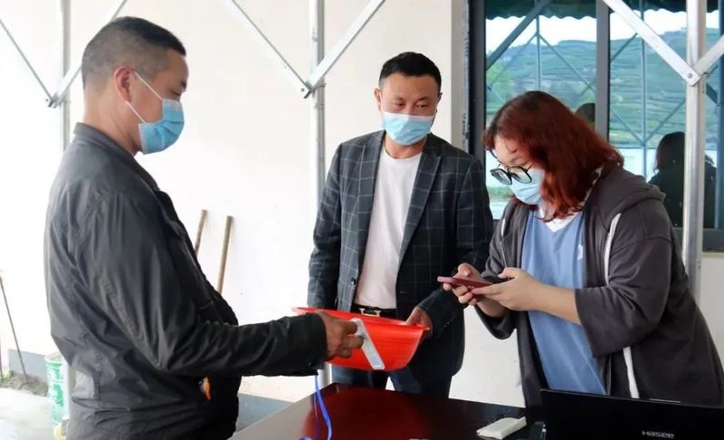 关于福鼎白茶:“一叶”发展科技傍身的相关信息