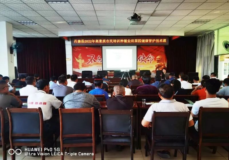 关于省级科技特派员助力黔东南州茶产业高质量发展的最新消息
