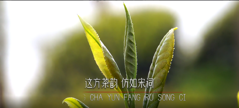 关于乡村掌墨师,茶香之约的资讯(4)