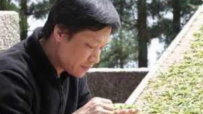 有关于一周速读:传统名茶产区新征程、茶叶批发市场的“中年危机”、“茶产业大脑”建设的相关信息(8)