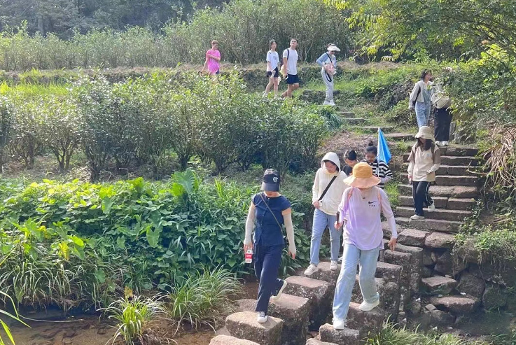 有关于武夷山:南平市中小学师生30多人走进武夷山开展研学游的信息