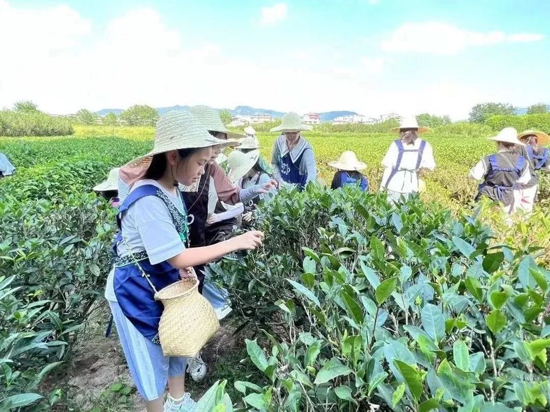 有关于武夷山:南平市中小学师生30多人走进武夷山开展研学游的信息(1)