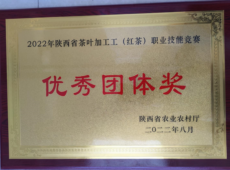 关于汉中市参加2022年陕西省茶叶加工工(红茶)职业技能竞赛成绩优异的消息(5)