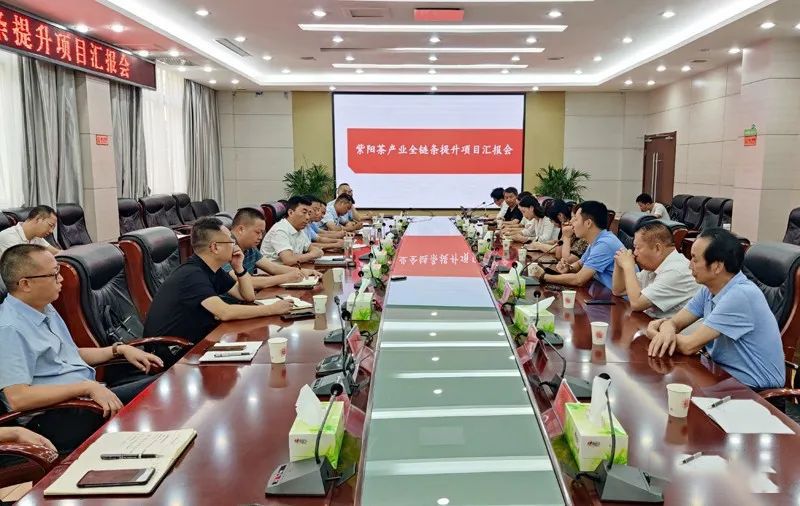 有关于向德刚主持召开紫阳茶产业全链条提升项目汇报会的消息