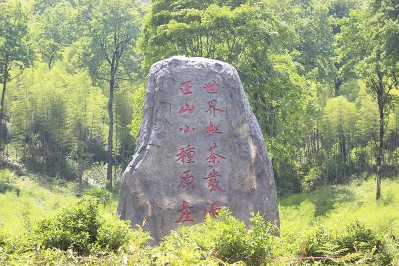有关于红茶产业链如何发展?这里有一份“中国红”产区样本的新闻(1)