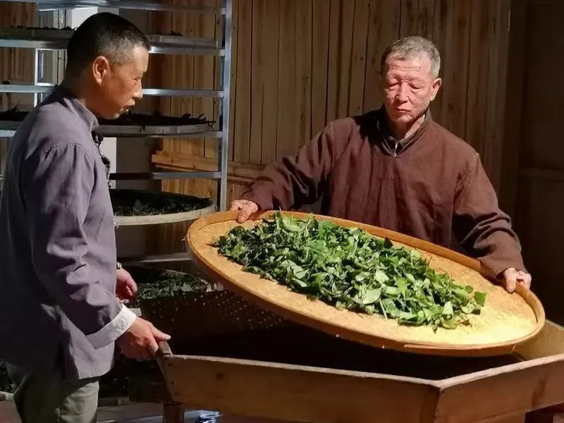 有关于红茶产业链如何发展?这里有一份“中国红”产区样本的新闻(3)