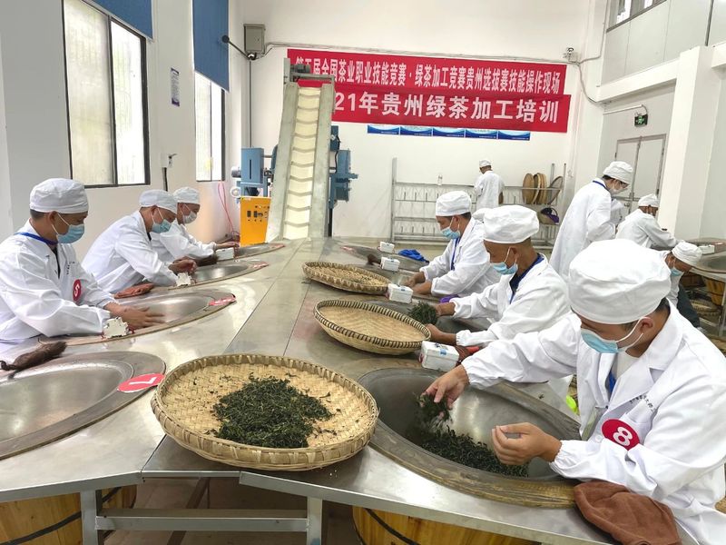 有关于2022年第五届全国农业行业职业技能大赛茶叶加工赛项贵州选拔赛将于8月23日在贵阳开赛的信息