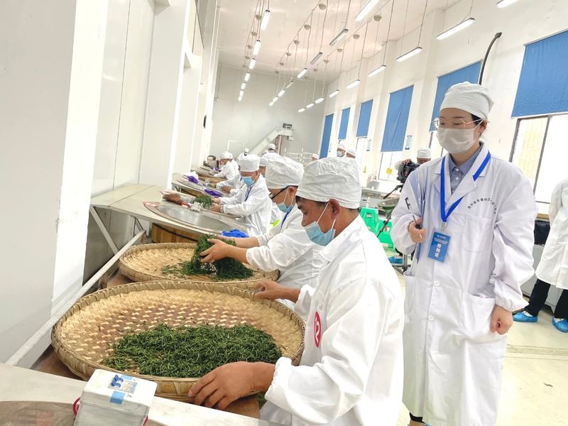 有关于2022年第五届全国农业行业职业技能大赛茶叶加工赛项贵州选拔赛将于8月23日在贵阳开赛的信息(1)