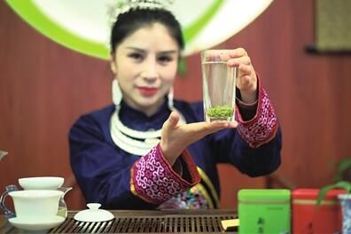 关于都匀市积极打造“都匀毛尖技工”劳务品牌助推茶产业高质量发展的相关内容(6)