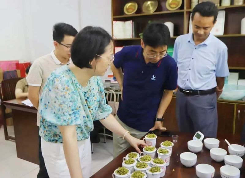 关于第四届桐城小花专家评审活动成功举办的新闻
