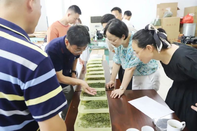 关于第四届桐城小花专家评审活动成功举办的新闻(1)