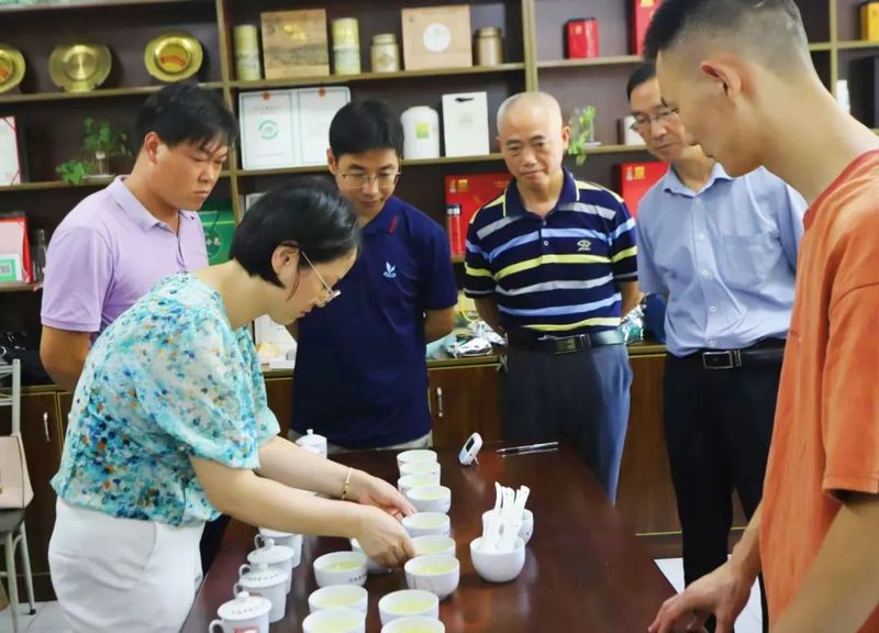 关于第四届桐城小花专家评审活动成功举办的新闻(2)