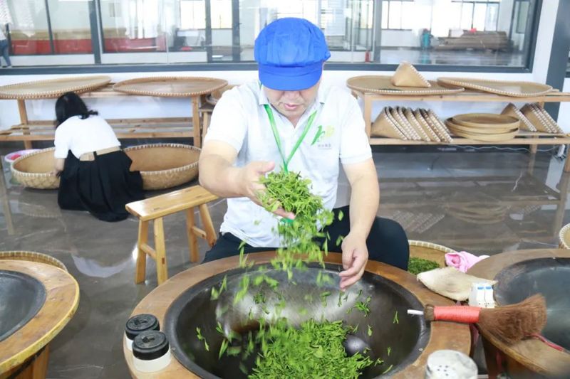 关于丽水首届茶叶加工技能竞赛在遂昌举办的资讯(2)
