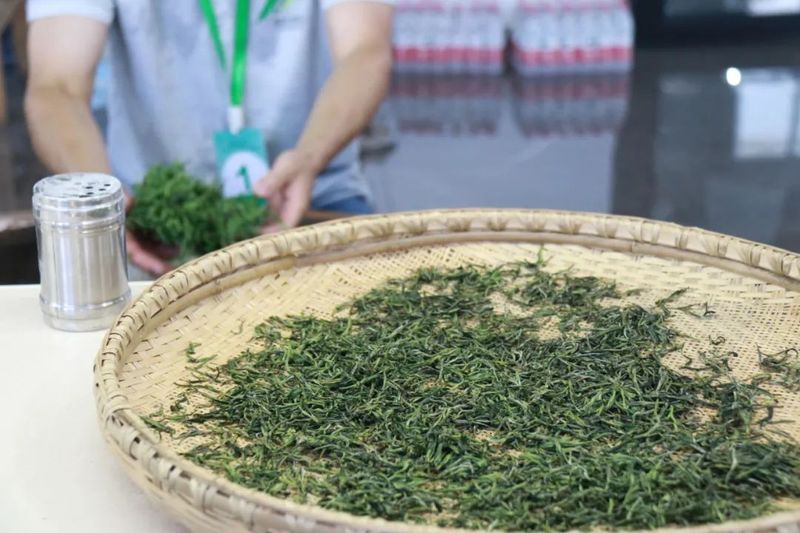 关于丽水首届茶叶加工技能竞赛在遂昌举办的资讯(3)