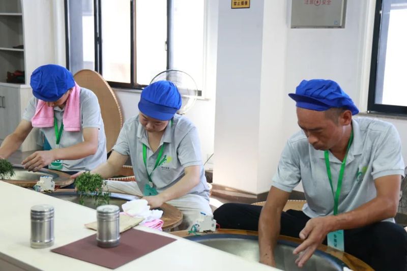 关于丽水首届茶叶加工技能竞赛在遂昌举办的资讯(4)