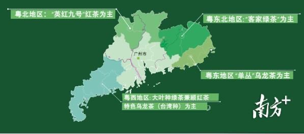 有关于全国最会喝茶卖茶的地方，广东有多猛？的相关内容(5)