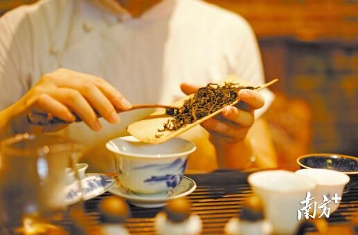 有关于全国最会喝茶卖茶的地方，广东有多猛？的相关内容(1)