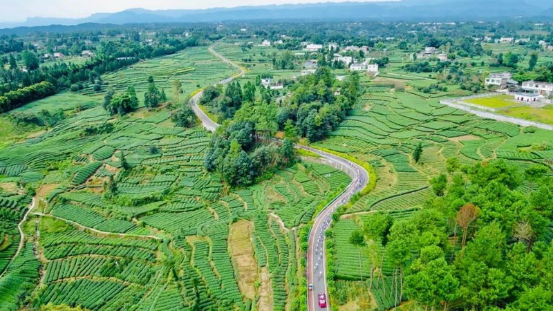 有关于名山区榜上有名！2022年农业现代化示范区创建名单公示的最新消息(4)