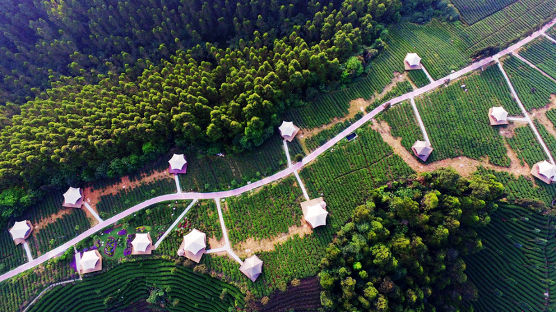 有关于名山区榜上有名！2022年农业现代化示范区创建名单公示的最新消息(3)