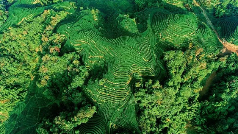 有关于名山区榜上有名！2022年农业现代化示范区创建名单公示的最新消息(2)