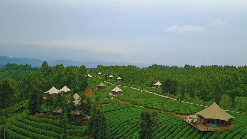 有关于名山区榜上有名！2022年农业现代化示范区创建名单公示的最新消息(6)
