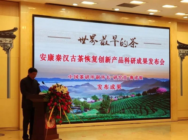 有关于平利县召开“世界茶源”文化园建设专题会的相关信息(2)
