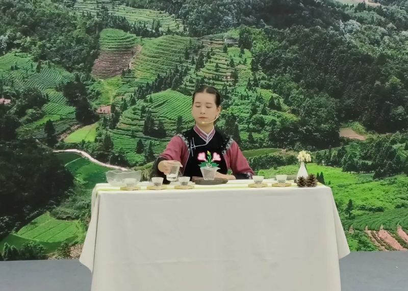 有关于贵州省第一届职业技能大赛茶艺（国赛）圆满结束的资讯(5)