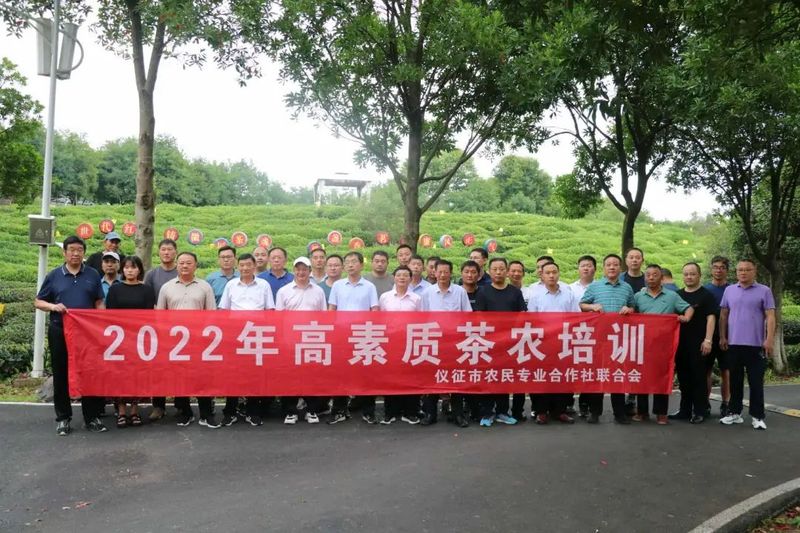 有关于“仪征绿杨春茶”全面实施地理标志保护工程的信息(1)