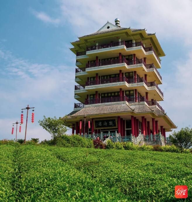 有关于湄潭茶海:一碧万顷,茶香四溢的相关信息(3)