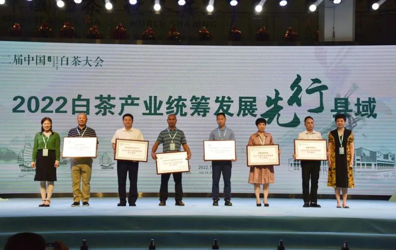 有关于践行“三茶”理念 做强政和白茶   第二届中国白茶大会在政和举行的最新消息(4)